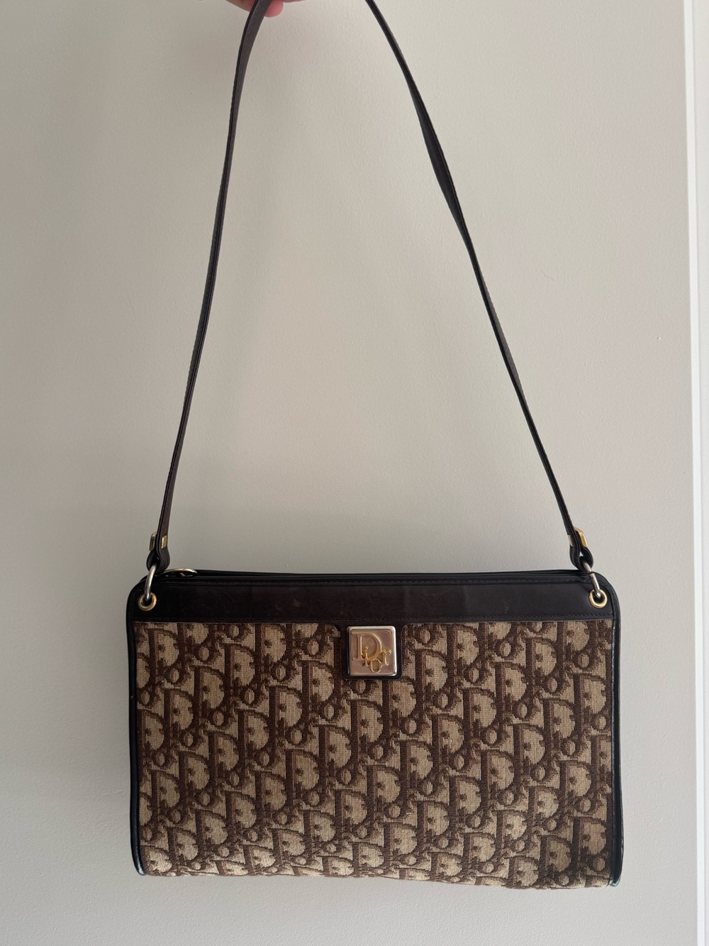 Dior Trotter Bag